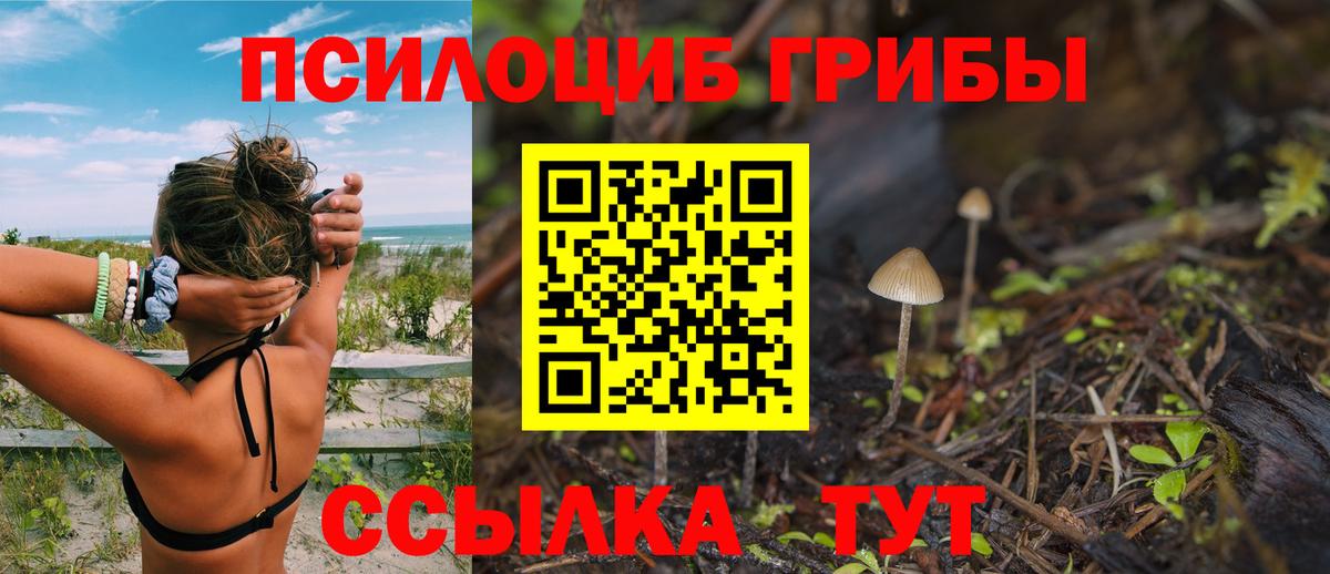 Галлюциногенные грибы Cubensis Прокопьевск