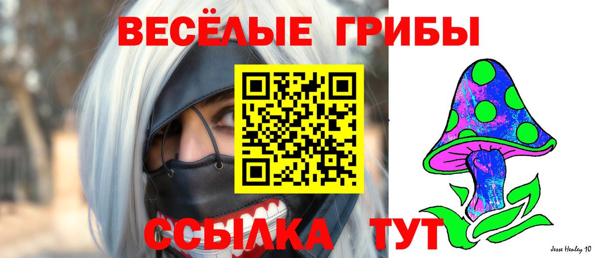 где продают наркотики  Вход с VPN  Прокопьевск  Псилоцибиновые грибы мицелий  Галлюциногенные грибы Psilocybine cubensis 